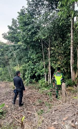 Cegah Terjadinya Kebakaran Hutan, Serka Dame Silaban Giat Lakukan Patroli