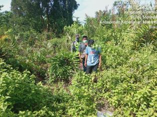 Cegah Karlahut, Babinsa Koramil 08 Merbau Gelar Patroli Bersama Warga