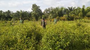 Pantau Titik Api, Babinsa Desa Pasiran Giat Lakukan Patroli Karlahut