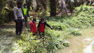 Cegah Terjadinya Kebakaran Hutan, Serda Sugiarto Giat Lakukan Patroli