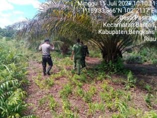 Cegah Titik Api, Serda Armansyah Lakukan Patroli Karlahut di Desa Pasiran