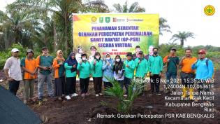 Program Nasional Peremajaan Sawit di Kab. Bengkalis Sangat Berdampak Pada Perekonomian Masyarakat