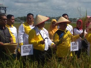 Ketua DPRD Khairul Umam : Petani Agar Terus Berperan Serta Tingkatkan Hasil Pertanianya