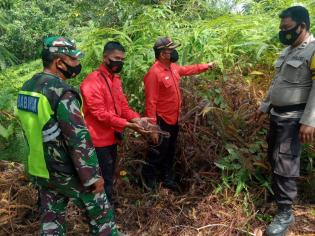 Cegah Kebakaran, Babinsa Kampung Rantau Beragun Kembali Lakukan Patroli
