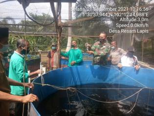 Tingkatkan Ekonomi Masyarakat, Serda Mustaqim Ikuti Program Penyuluhan Peternakan Lele