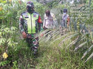 Cegah Kebakaran, Anggota Koramil 11 Kandis Kembali Lakukan Patroli Karlahut