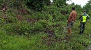Cegah Karlahut, Koramil 08/Merbau gelar patroli di Desa binaan