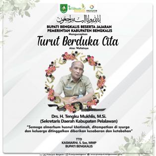 Sekda Pelalawan Meninggal Dunia, Bupati Bengkalis Kasmarni Ucapkan Belasungkawa 