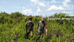 Pantau Titik Api, Babinsa Desa Ulu Pulau Kembali Lakukan Patroli Karlahut Bersama Warga