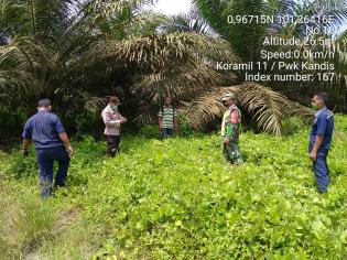 Pantau Titik Api, Babinsa Kelurahan Kandis Giat Lakukan Patroli Karlahut